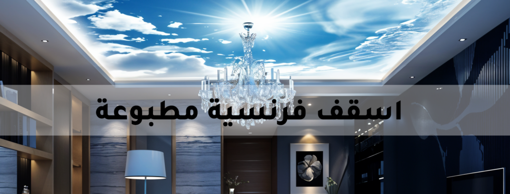 سقف فرنسي مطبوع للمكاتب والمستشفيات والفنادق والقصور والمنازل والحدائق