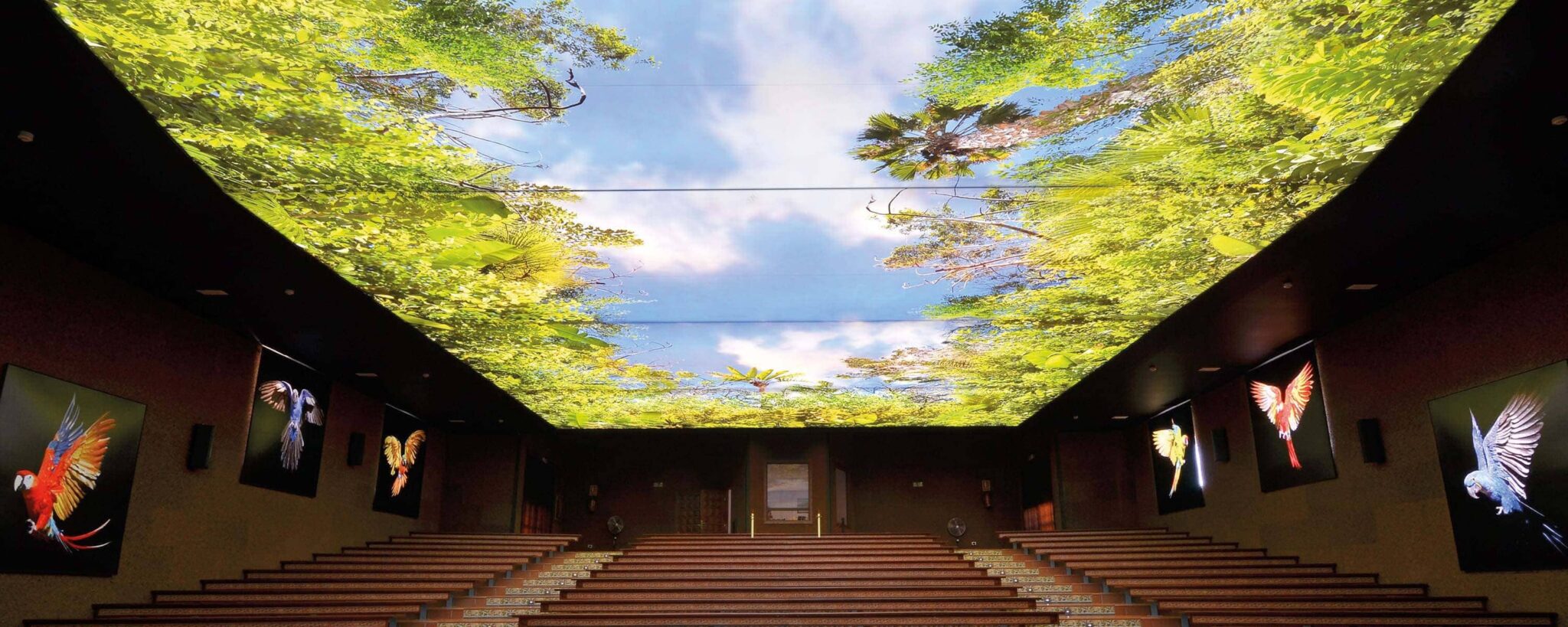 سقف باريسول | تصاميم أوروبية حديثة – Printed and Backlit Barrisol Ceilings